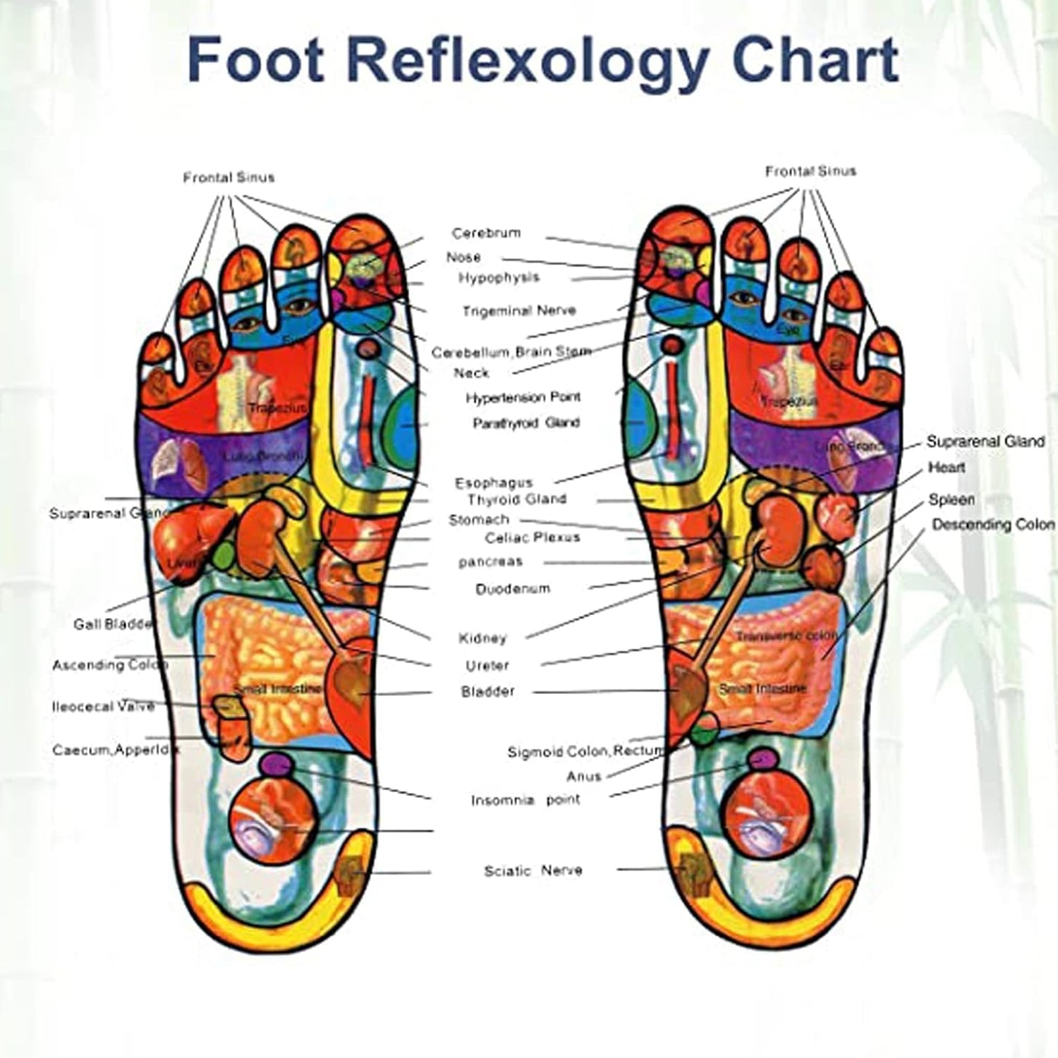 Detox Foot Pads with Ginger & Salt – 10 Pcs | Velvet Wellness - 8